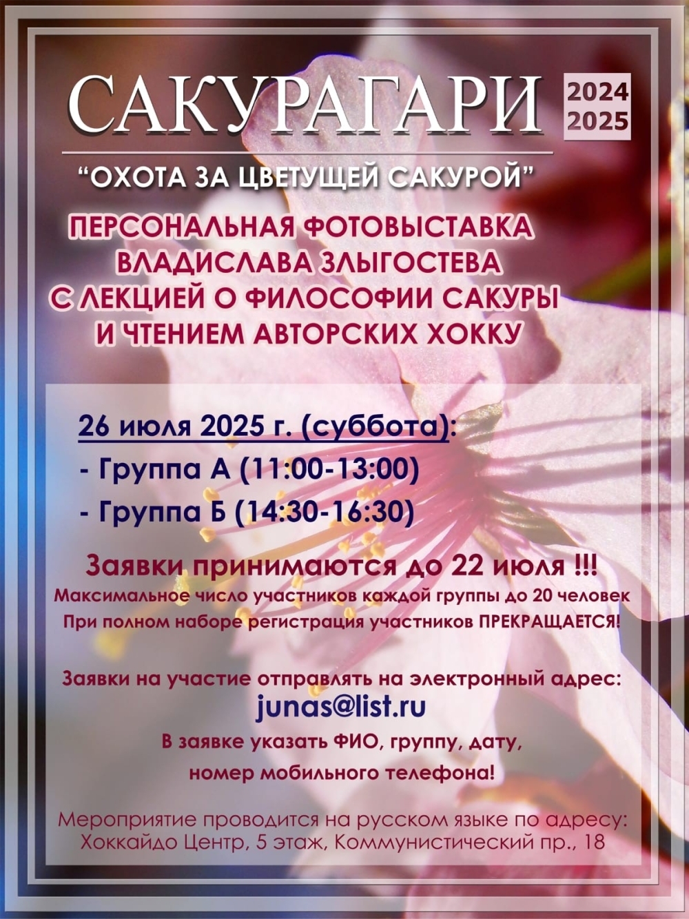 охота за цветущей сакурой Сакурагари